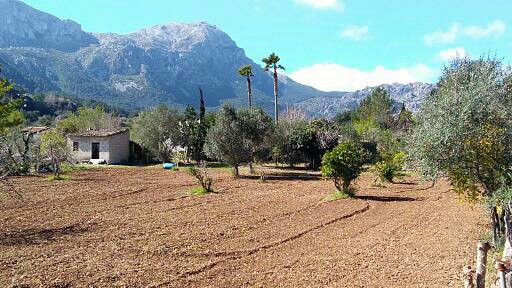 IMG_20170304_113228139